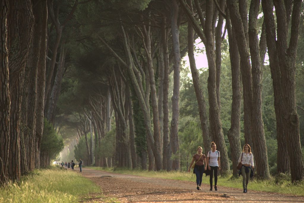 Piquenique em Pisa no parque de San Rossore
