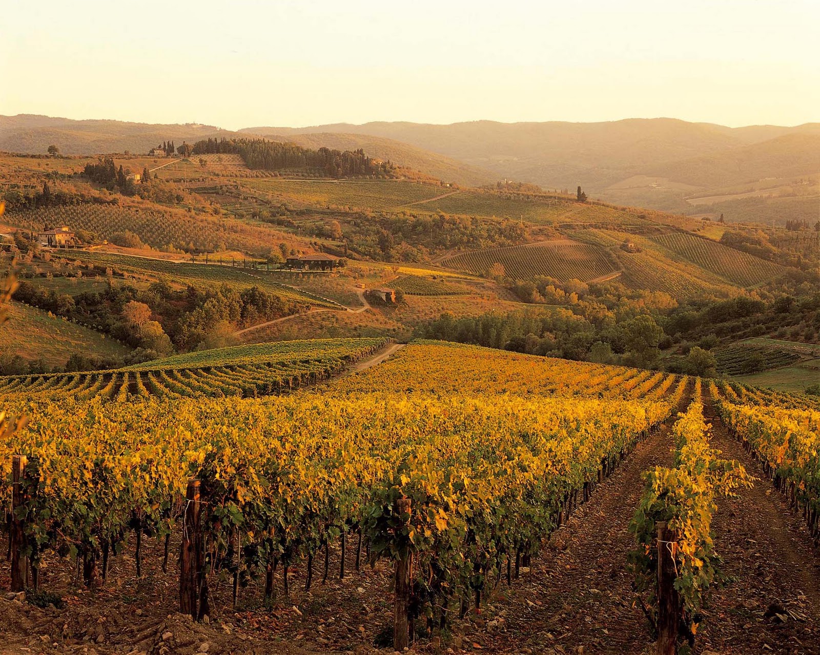 A Toscana: alguns roteiros | Passeios na Toscana