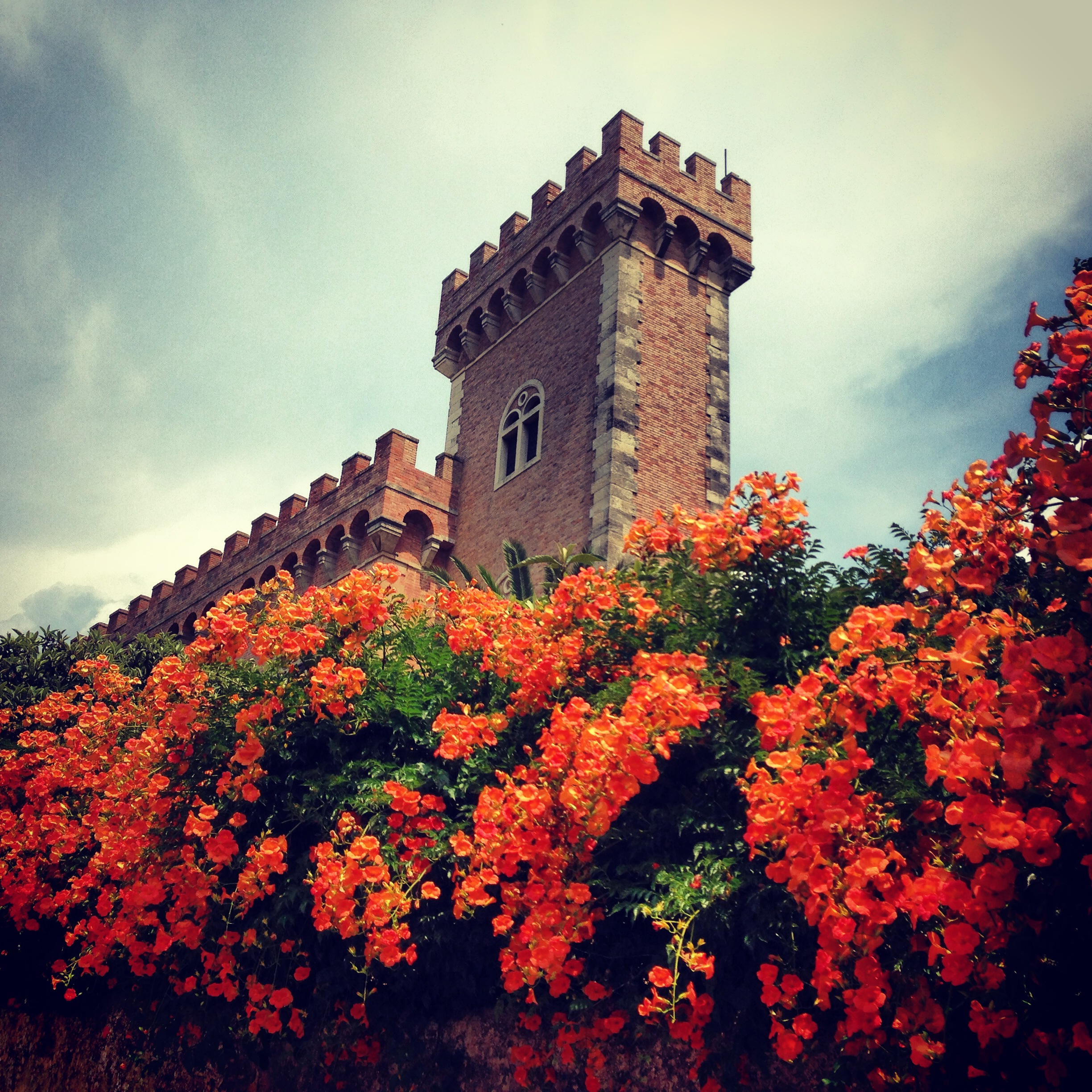 Bolgheri E Seus Encantos Passeios Na Toscana Bolgheri E Seus Encantos Passeios Na Toscana