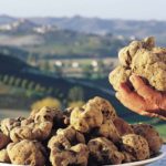 Mostra Mercato del Tartufo