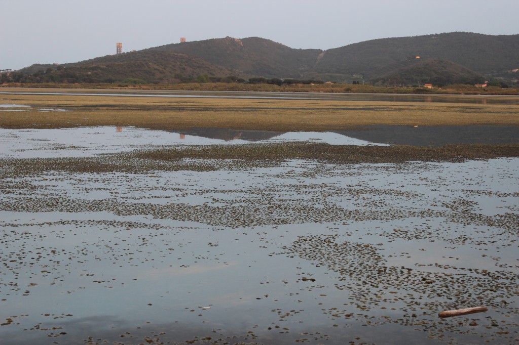 Laguna de Orbetelo