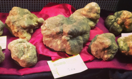 Calendário das Feiras de trufa (tartufo) da Toscana