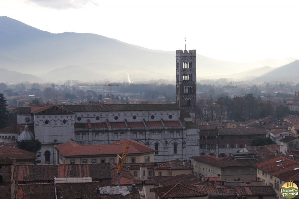 Lucca - torre Guinigi_42