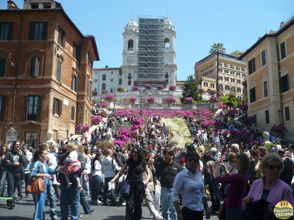 Roma_17