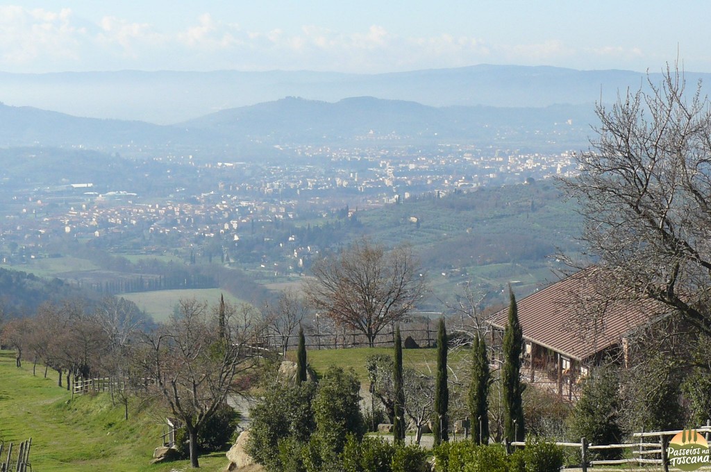 Arezzo_89