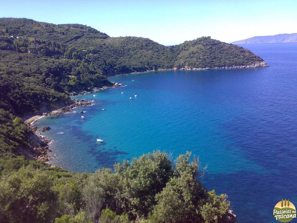 Pequena Cidade Na Costa Da Ilha De Elba, Em Itália. Número Elevado