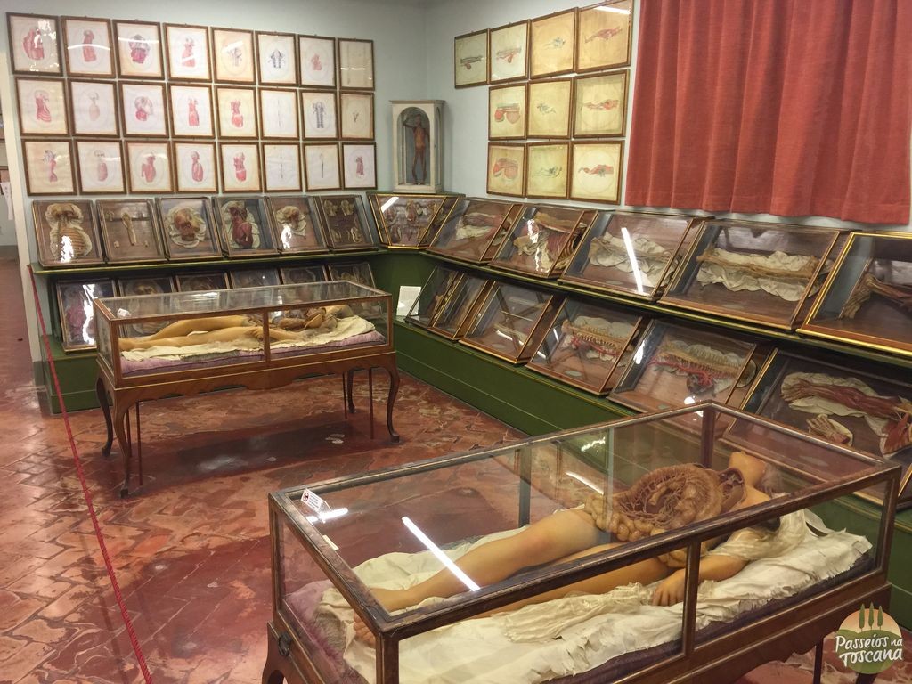 museu-della-specola-florenca_9
