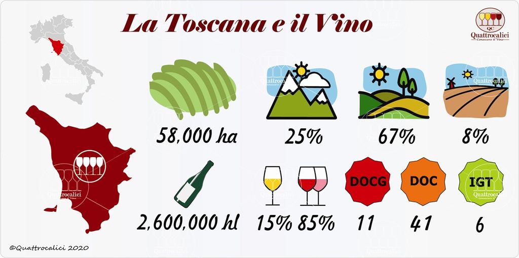 Guia De Vinhos Da Toscana Passeios Na Toscana