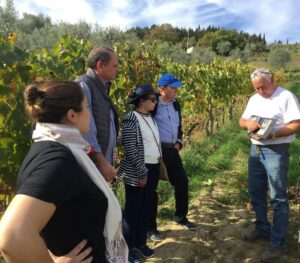 Tour pelo Chianti Clássico em português - pequeno grupo Tour pelo Chianti Clássico em português - pequeno grupo